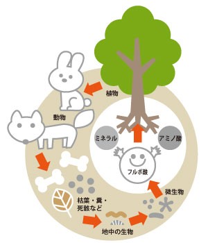 アルカリイオン水ペット用ボディケア ペットキララ