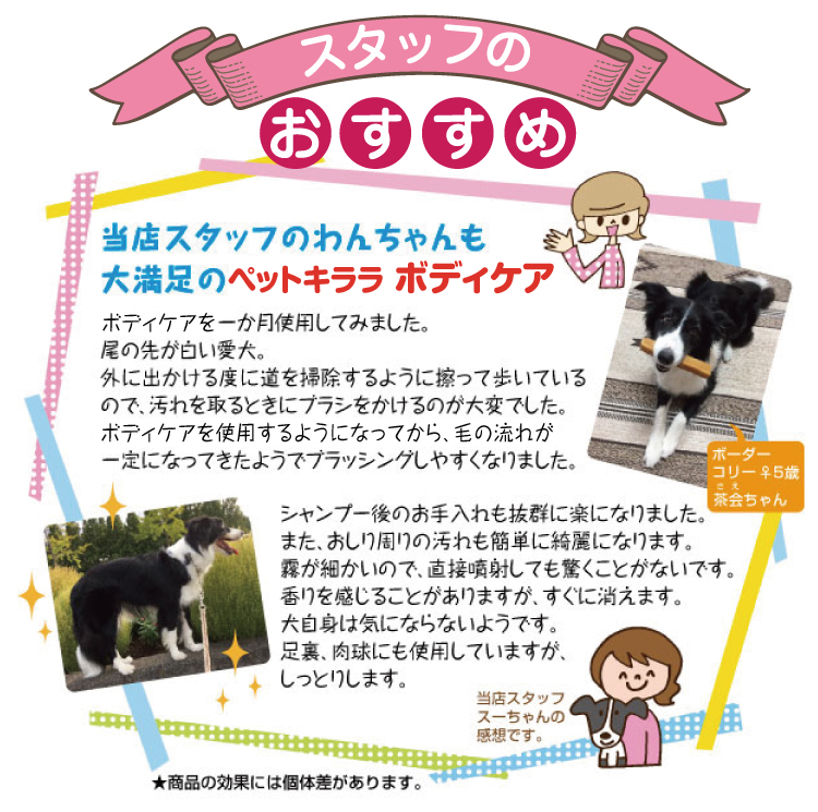 スタッフおすすめ