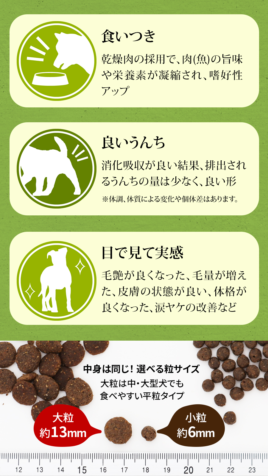 Perfection（ペット用品） (選べるプレゼント付き) パーフェクション