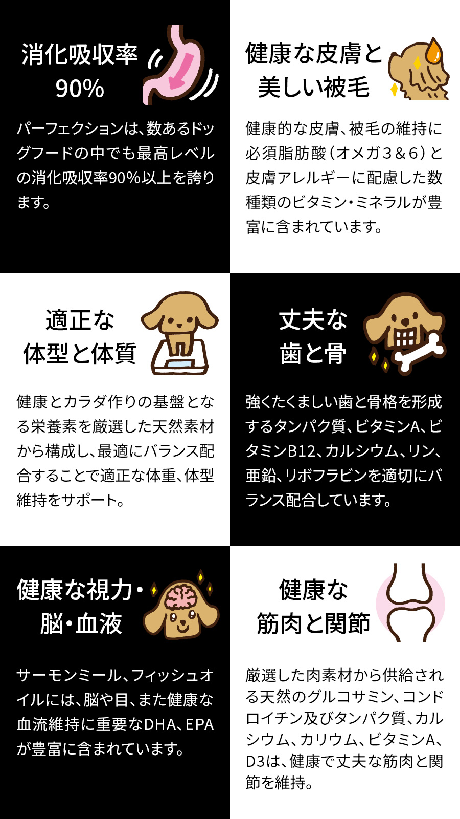 Perfection（パーフェクション） (選べるプレゼント付き) ドッグフード