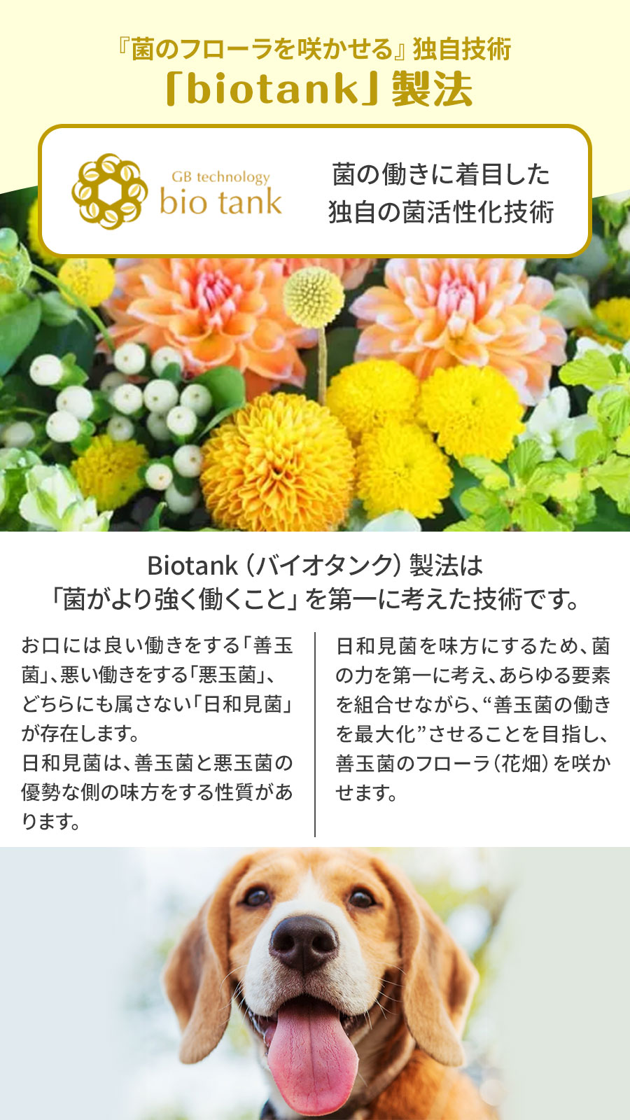 リニューアル変更済)プロバイオデンタル(犬・猫・小動物用) パウダー