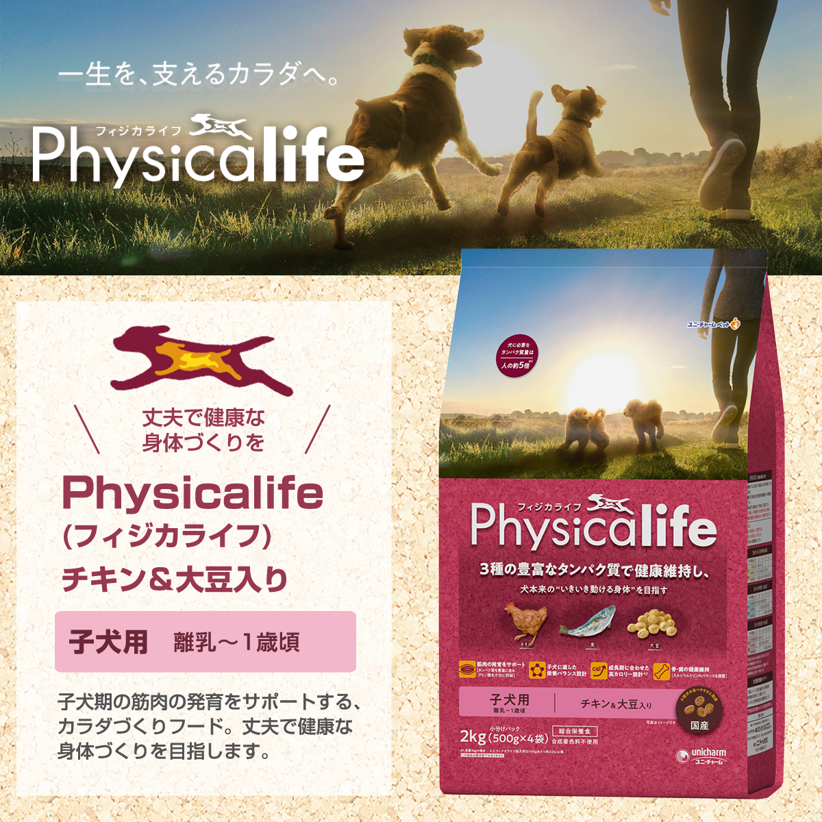 フィジカライフ (Physicalife) 子犬用 チキン＆大豆入り 2kg ＋国産鹿肉ジャーキー(お試しサイズ)｜dogparadise｜04