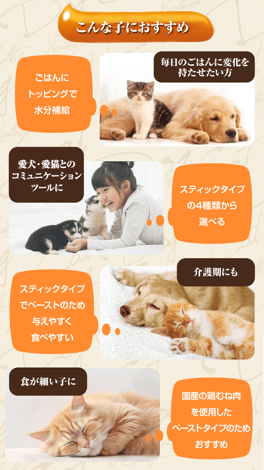 鉄人倶楽部】バランスボード ｜チョコザップ