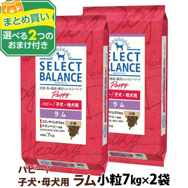 【ドッグフード】セレクトバランス/パピーラム/小粒7kg Amazon.co.jp: セレクトバランス パピー ラム 小粒 7kg