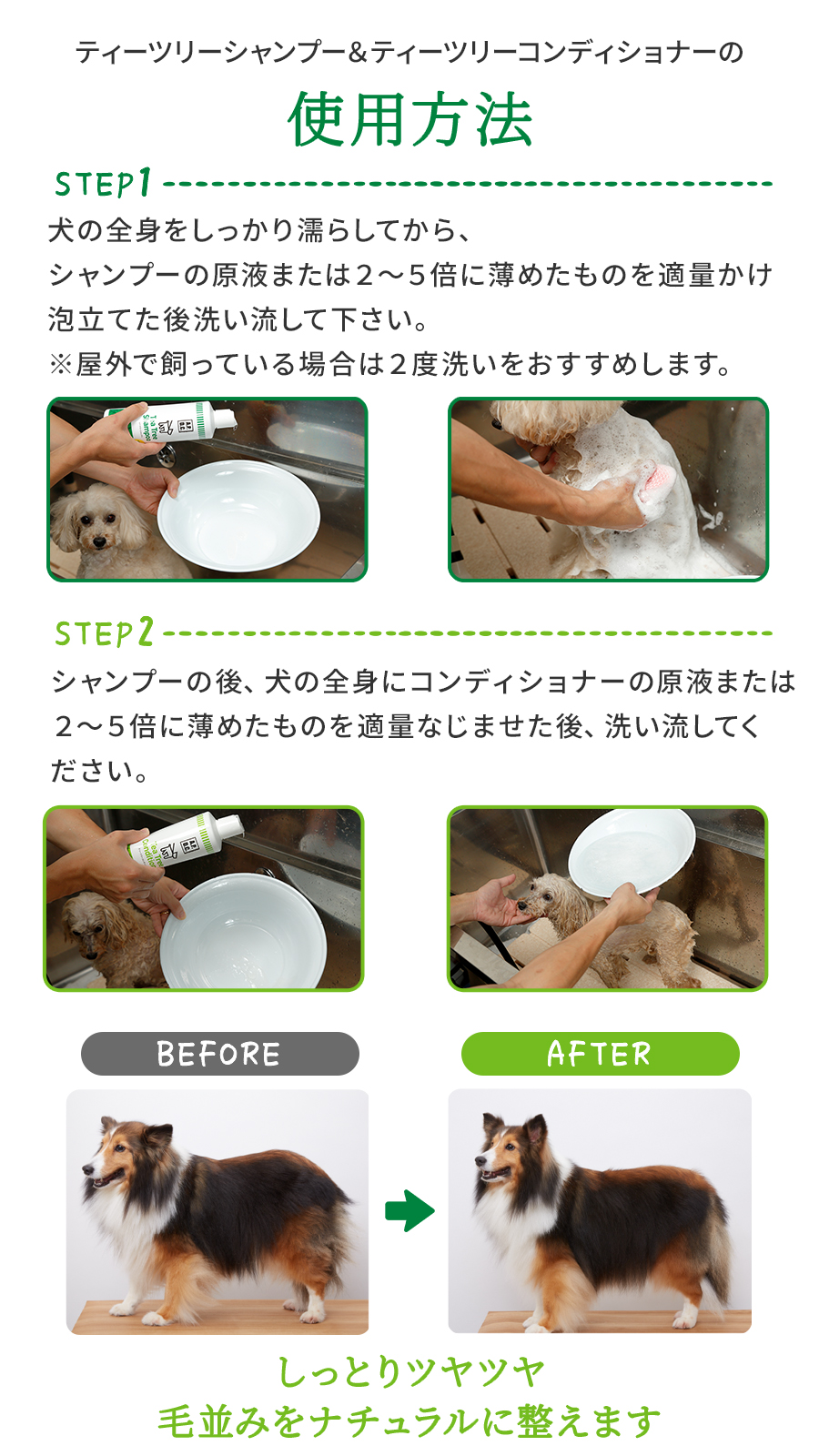 APDCセット