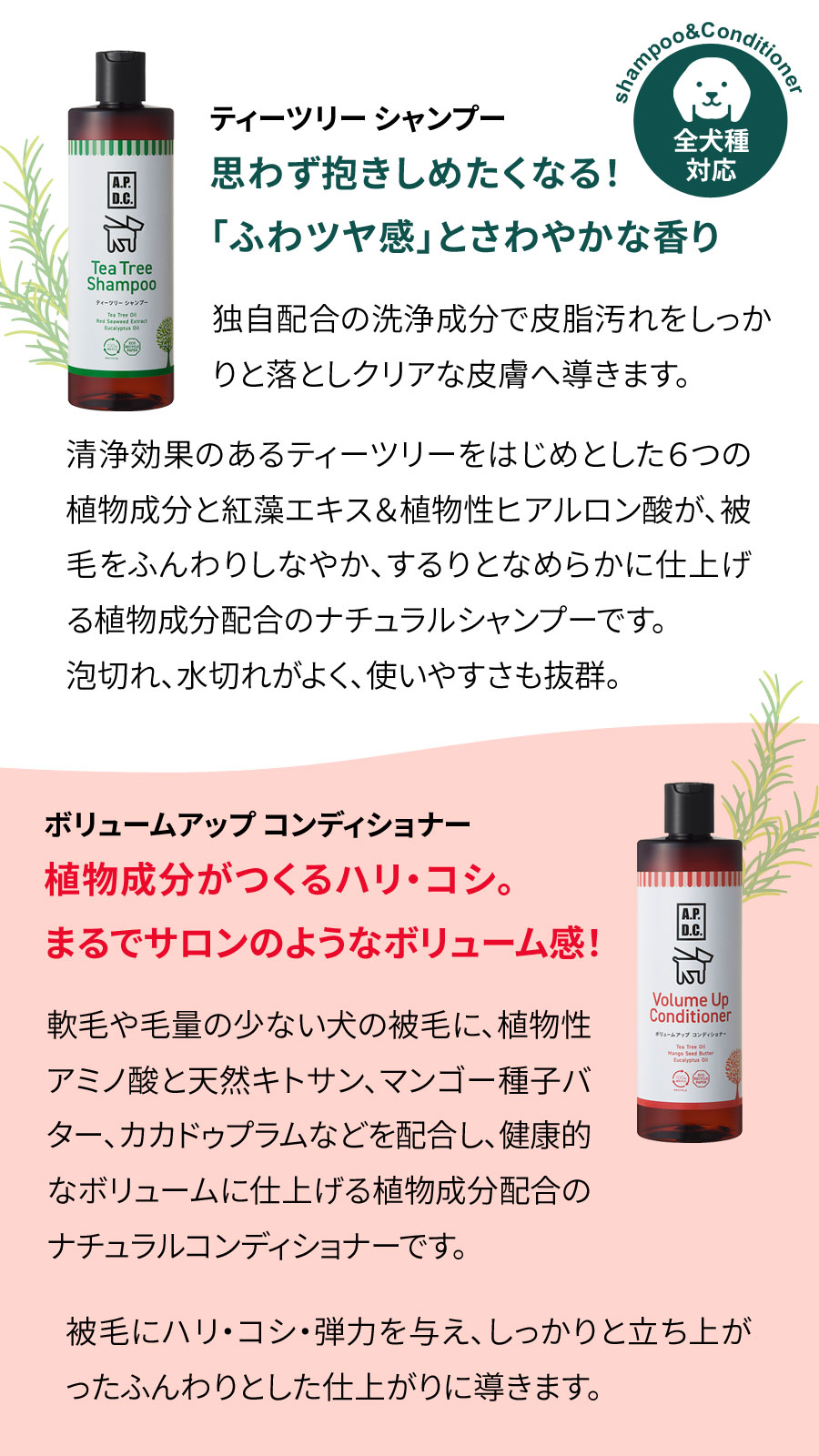 ☘️APDCティーツリーシャンプー&ボリュームコンディショナー500㎖セット A.P.D.C. (選べるプレゼント付き) ティーツリー シャンプー