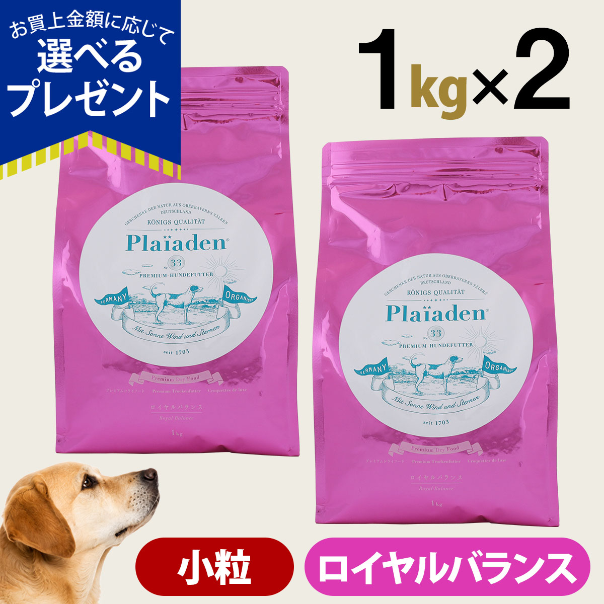 (選べるプレゼント付き)プレイアーデン プレミアムドライフード ロイヤルバランス （小粒）1kg×2個 鶏 チキン ドッグ 犬 ドック フード