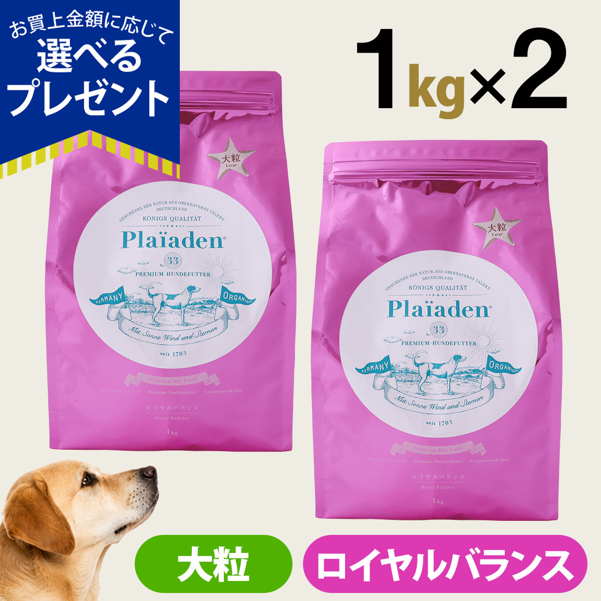 (選べるプレゼント付き)プレイアーデン プレミアムドライフード ロイヤルバランス ラージサイズ（大粒） 1kg×2個 鶏 チキン ドッグ 犬 ドック フード