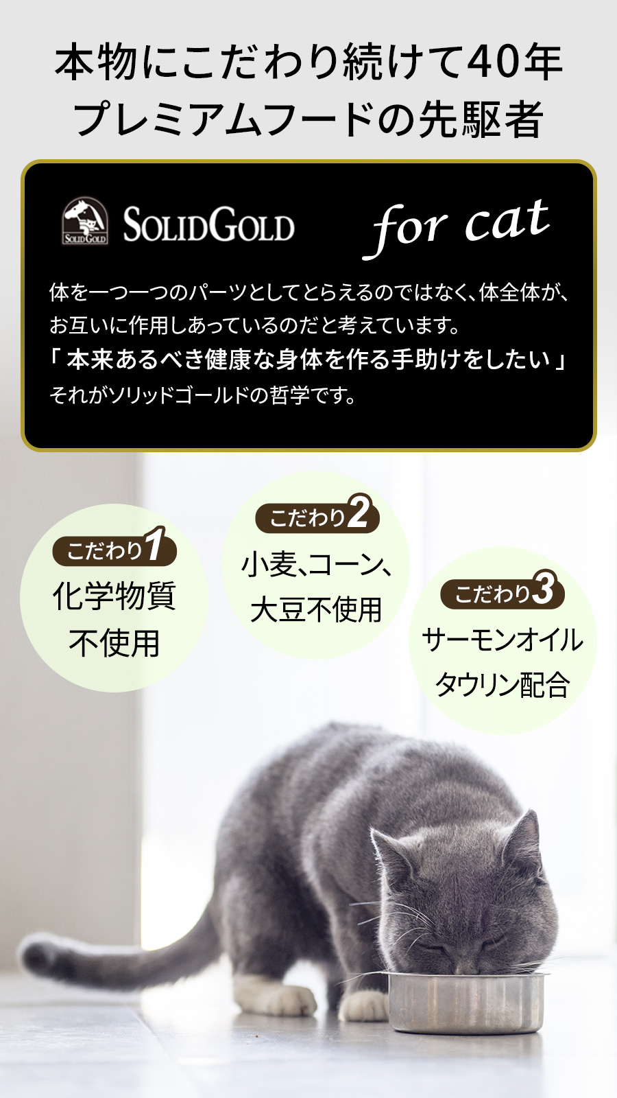 ソリッドゴールド キャット インディゴムーン 6kg+お試し国産お魚おやつ 約20g_6