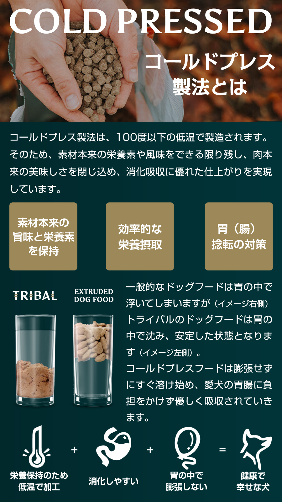 (選べるプレゼント付き)トライバル フレッシュサーモン 12kg サーモン コールドプレス ノンオイルコーティング 穀物不使用