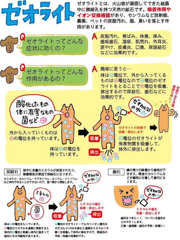 アクアゼオOH 歯磨き粉 ペット 犬 人気 ゼオライト 歯磨き粉 歯みがき