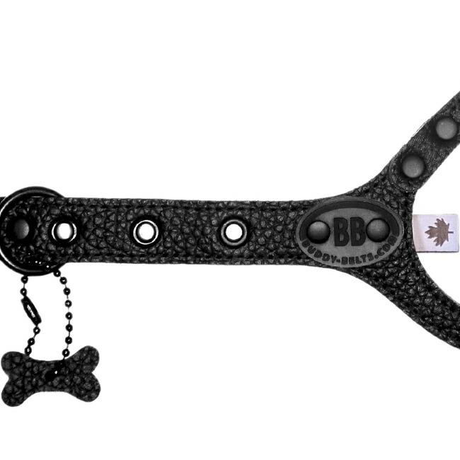 バディーベルト ハーネス 5号 ブラックナイト Black Knight 小型犬