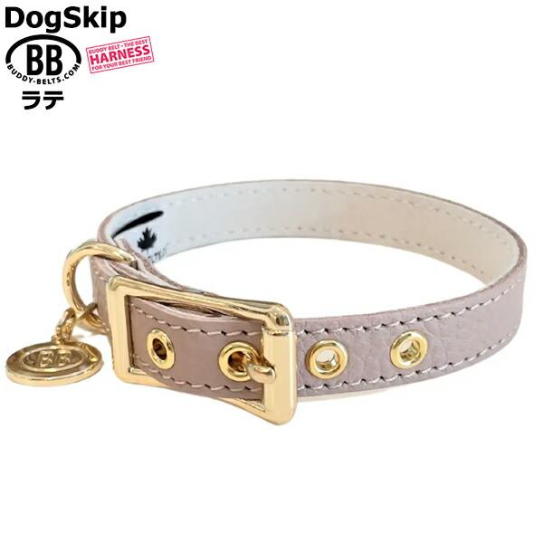 BB 首輪 ラテ latte 1号 ID カラー バディーベルト buddybelt バディ