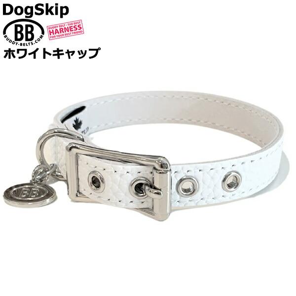 バディーベルト BBベルト　ホワイトキャップ BB 首輪 ホワイトキャップ 1号 ID カラー バディーベルト