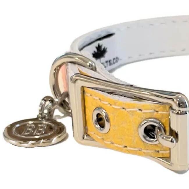 BB 首輪 モッド 4号 ID カラー バディーベルト buddybelt バディベルト