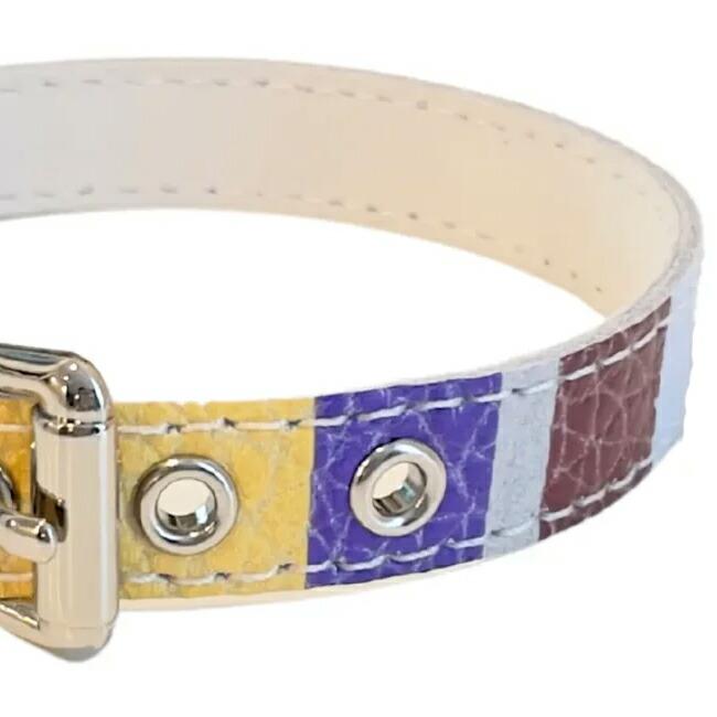 BB 首輪 モッド 4号 ID カラー バディーベルト buddybelt バディベルト