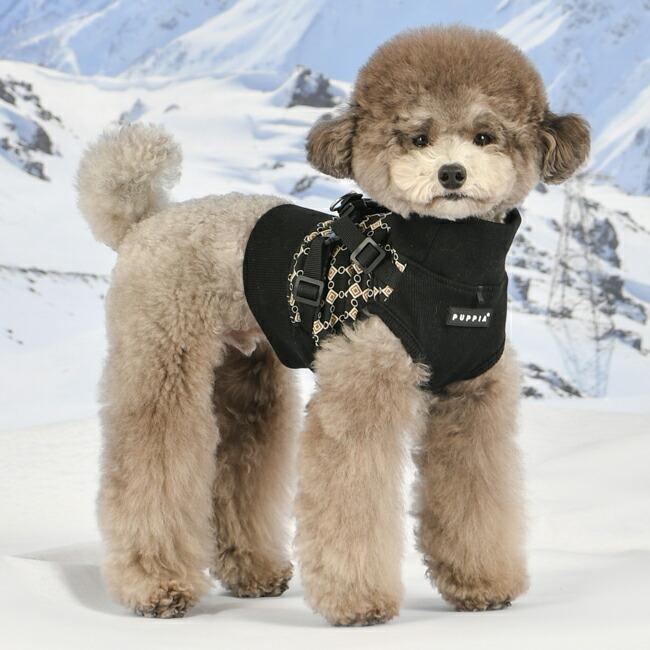 パピアジェースハーネスJ：S,M,Lサイズ Jace Harness J 犬 PUPPIA