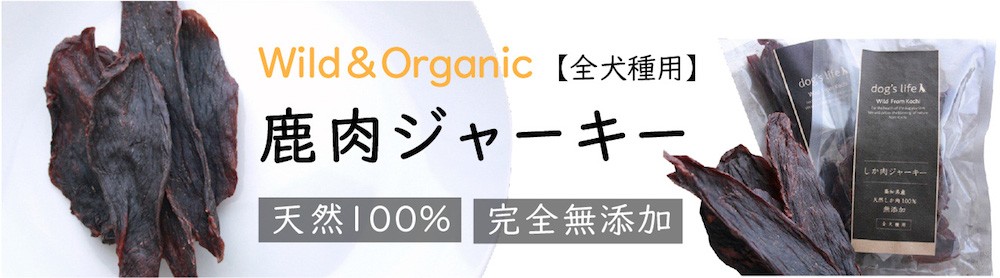 ドッグズライフ Yahoo!店 - Yahoo!ショッピング