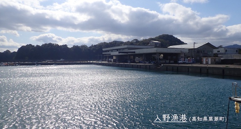 入野漁港の様子