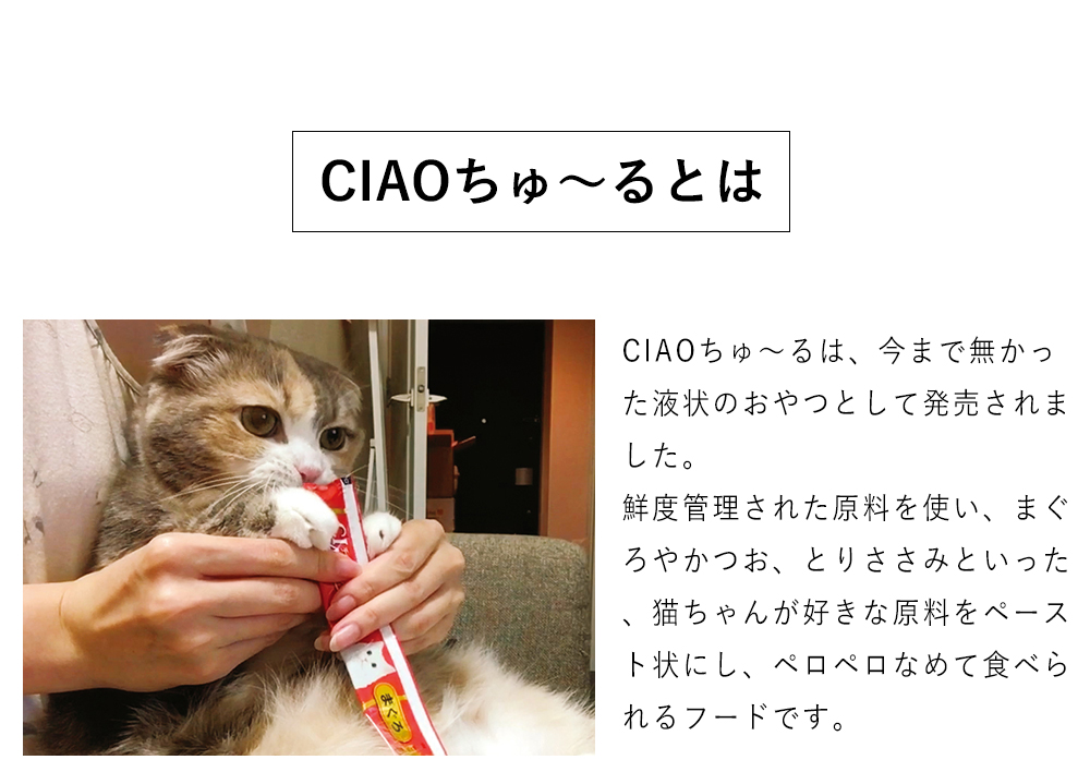 猫用おやつ ちゅーる チュール 猫いなば ちゅ〜る グルメ かつお海鮮バラエティ120本 ねこ ウェット 水分補給 チャオ国産 日本