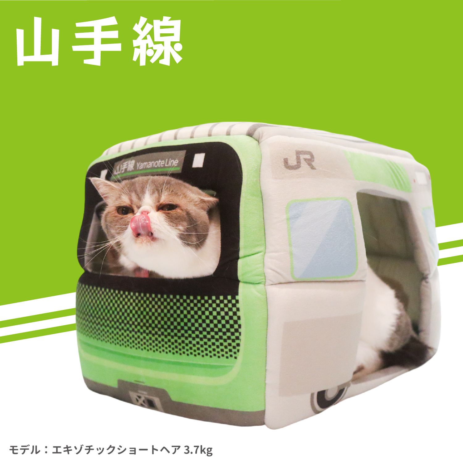 電車 ペット 猫 オファー