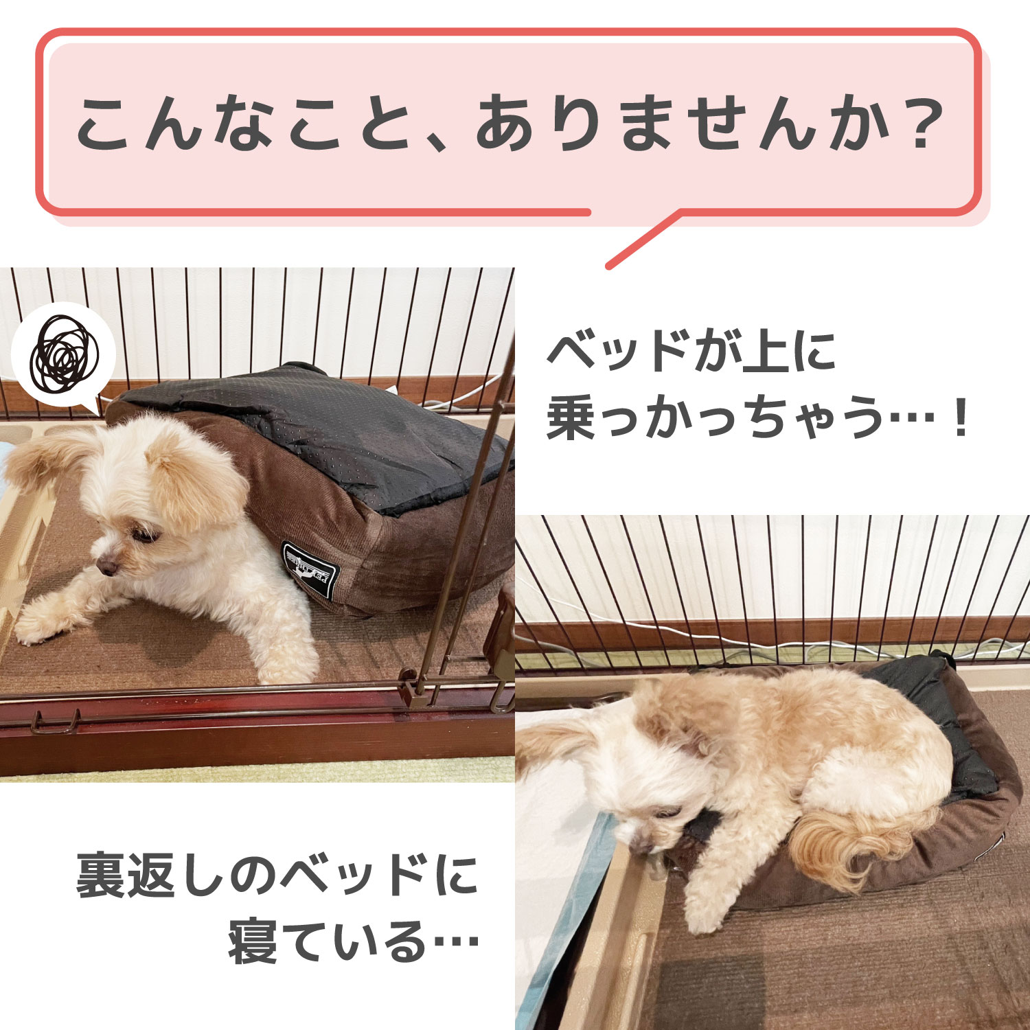 犬 ベッド ペットベッド PET THREE オリジナル あったかマイヤー