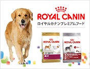ロイヤルカナン犬用