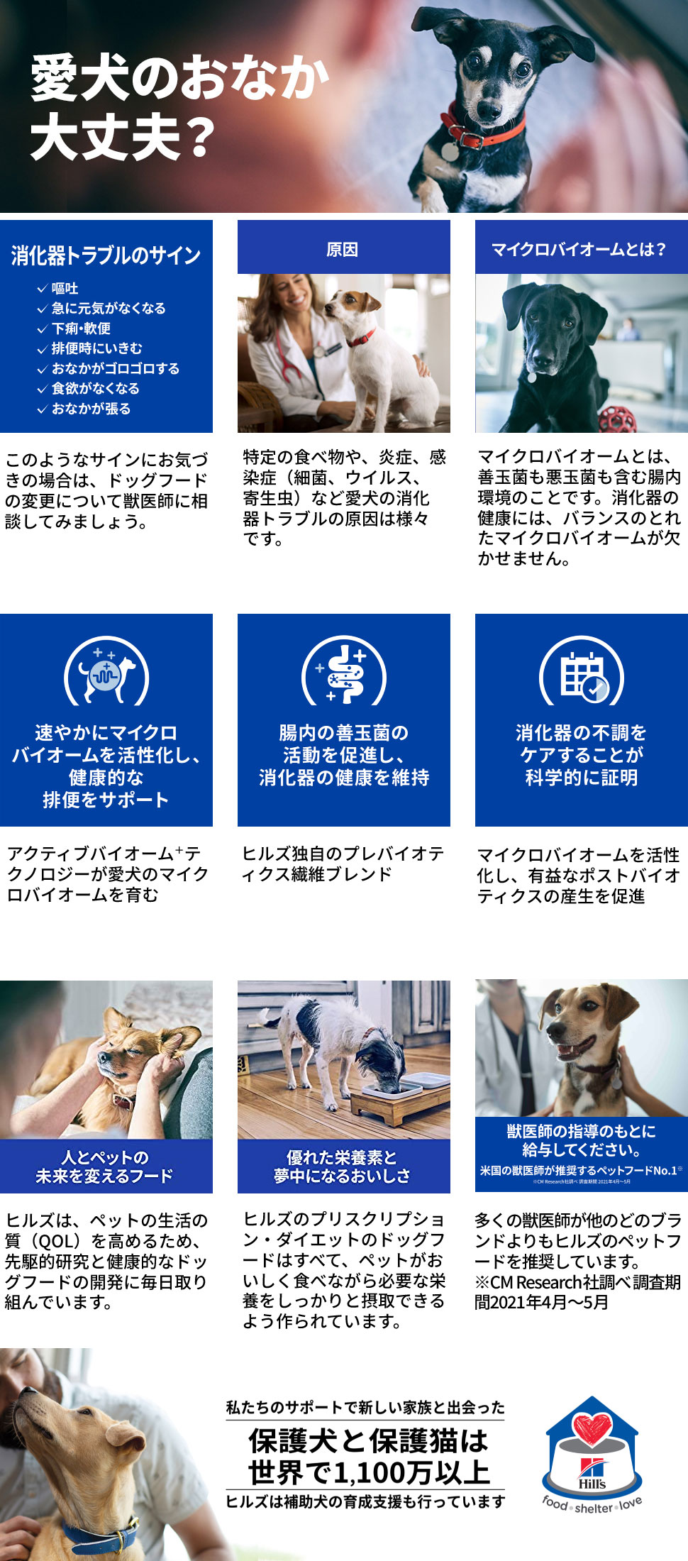 プリスクリプション・ダイエット ヒルズ 犬用 腸内バイオーム 繊維
