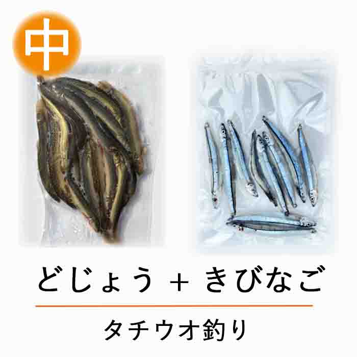 冷凍エサドジョウキビナゴテンヤ太刀魚どじょう1