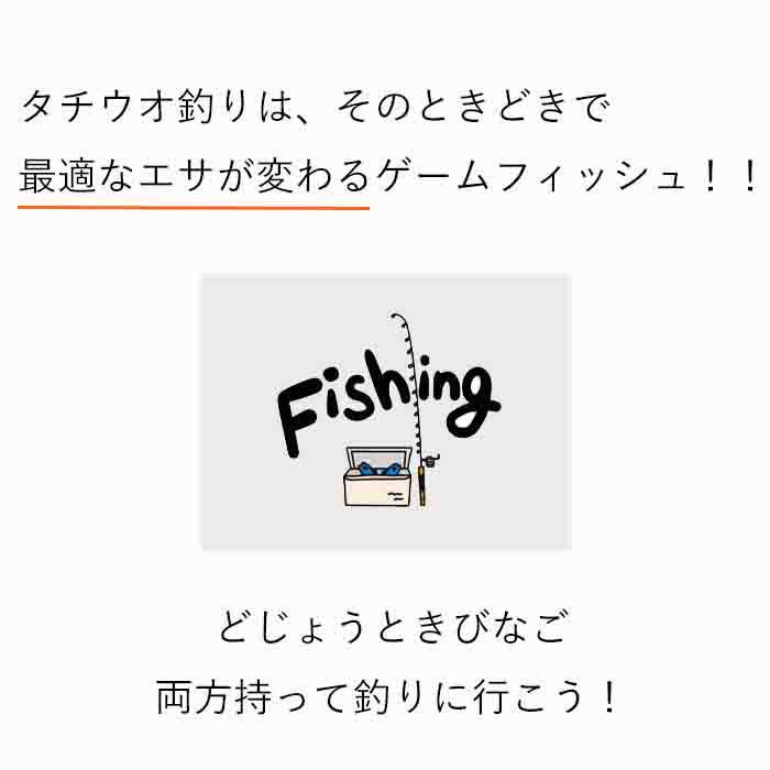 冷凍エサドジョウキビナゴテンヤ太刀魚どじょう7