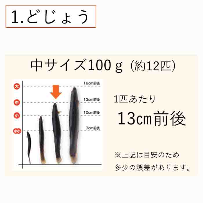 冷凍エサドジョウキビナゴテンヤ太刀魚どじょう4