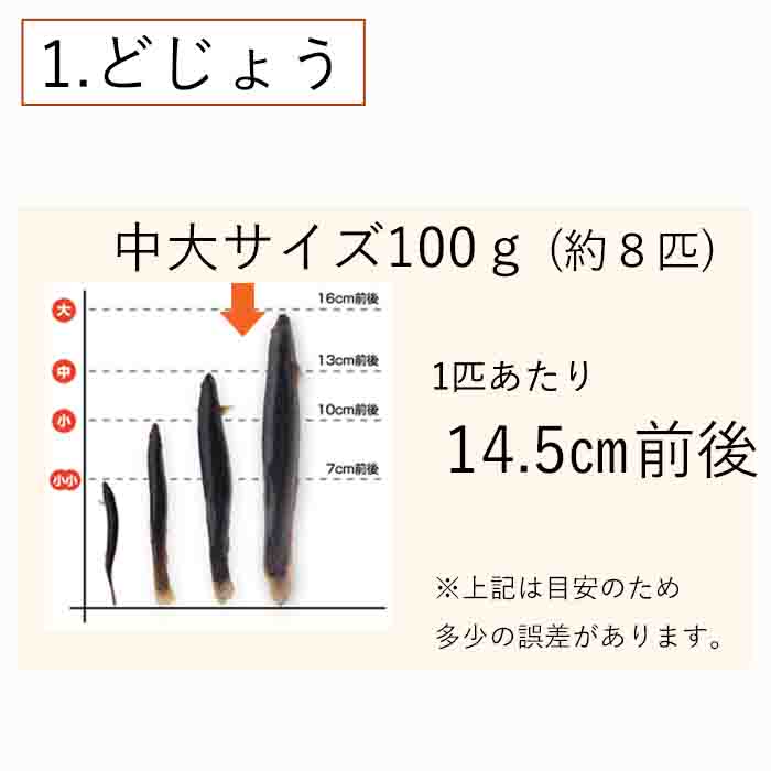 冷凍エサドジョウキビナゴテンヤ太刀魚どじょう4