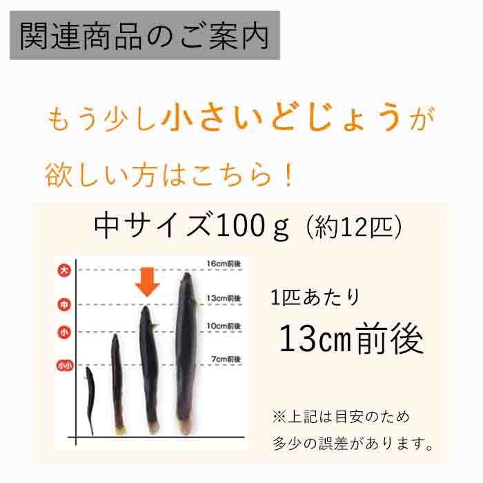 冷凍エサドジョウキビナゴテンヤ太刀魚どじょう9