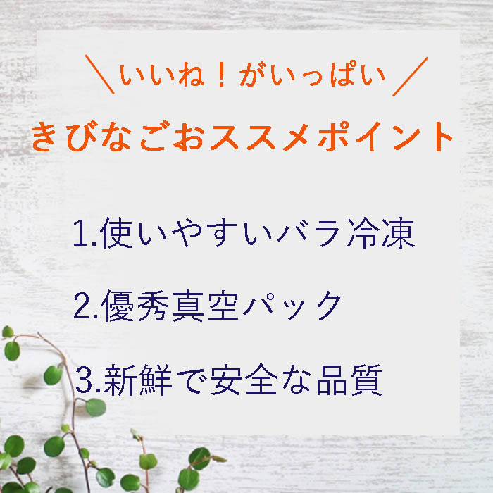 真空バラ冷凍きびなごキビナゴ冷凍エサドジョウどじょう1