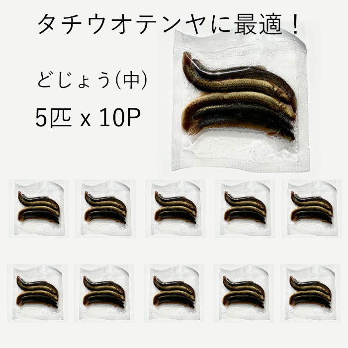 冷凍 どじょう タチウオ 釣り 餌 (5匹×10パック) 中サイズ ドジョウ