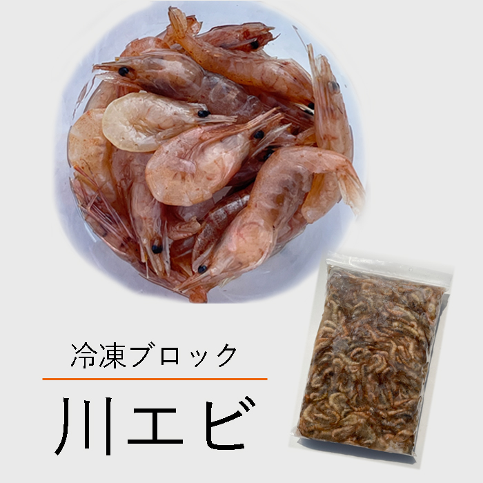 【レビューを書いてプレゼント！】冷凍 エサ用 川エビ 1kg(500g×2個) かわえび エサ 熱帯魚 古代魚 餌 冷凍エサ カワエビ｜dojou-ookawa