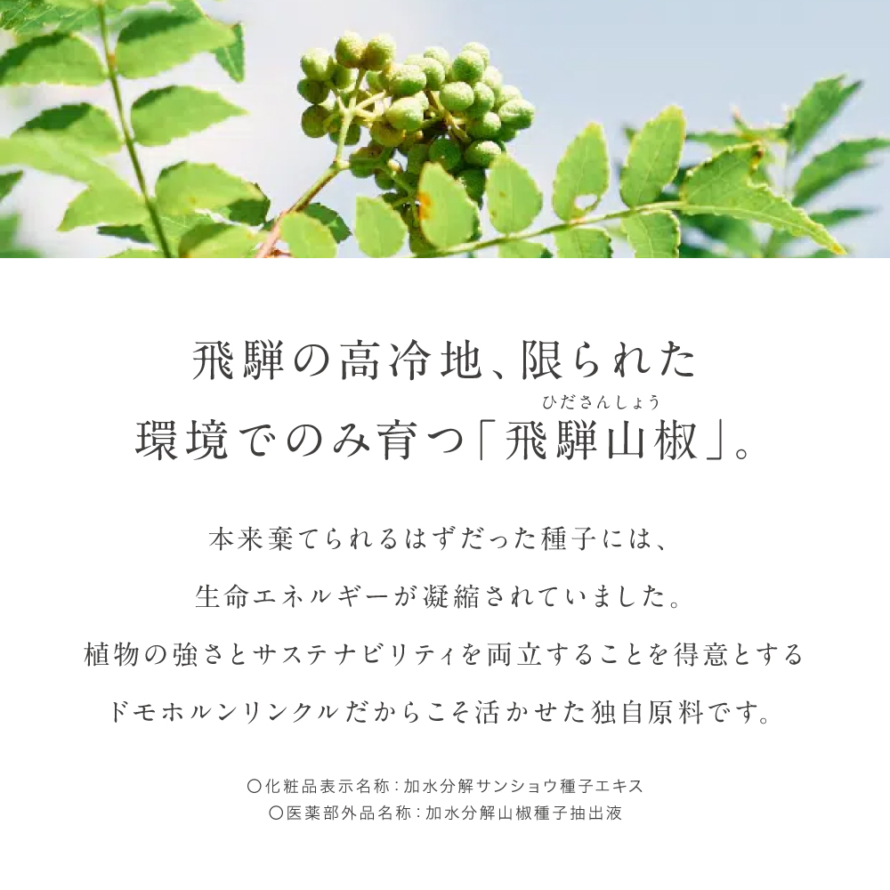 ドモホルンリンクル（Domohorn Wrinkle） 公式 基本4点セット 約2か月