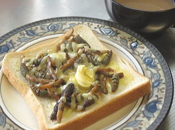 つくしバター醤油トースト