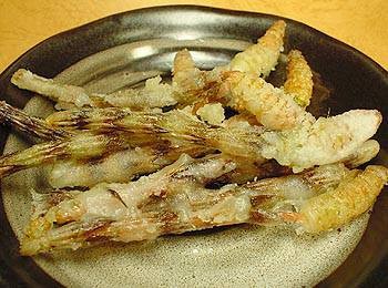 つくしの揚げ物
