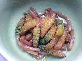 つくし和えもの