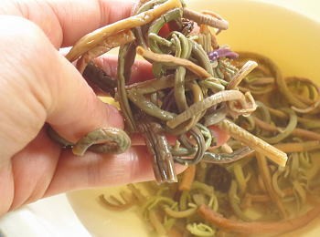 干しぜんまい 1kg 山菜 野草 山形県産 : 庄内米産直店 土門商店Yahoo