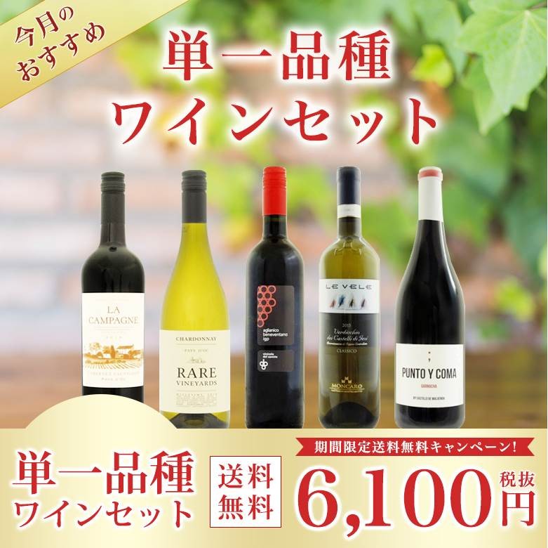 今月のおすすめ単一品種ワイン5本セット ラ カンパーニュ