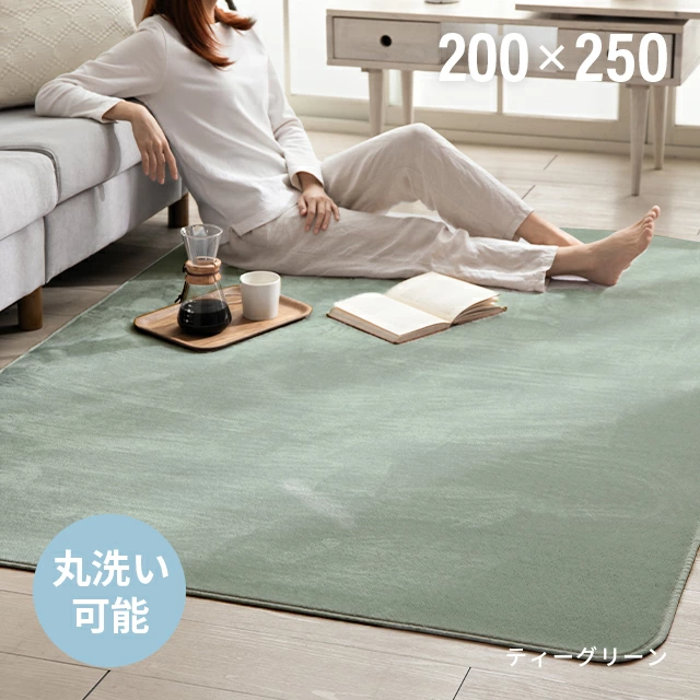 ラグ カーペット マット 200×250 厚み20mm グリーン - ラグ