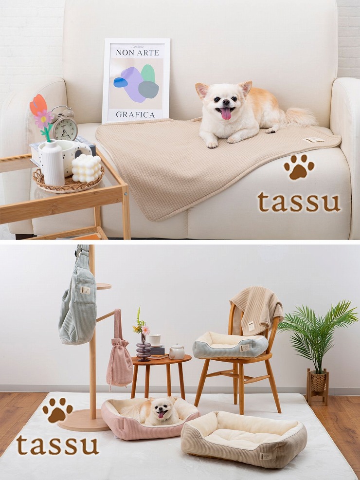 ペット用 ブランケット 70×50cm サンサン ペットマット tassu タッス Sunsun 無地 犬 いぬ イヌ 猫 ネコ ねこ ペット  ペット用 毛布 168-6493 2024年