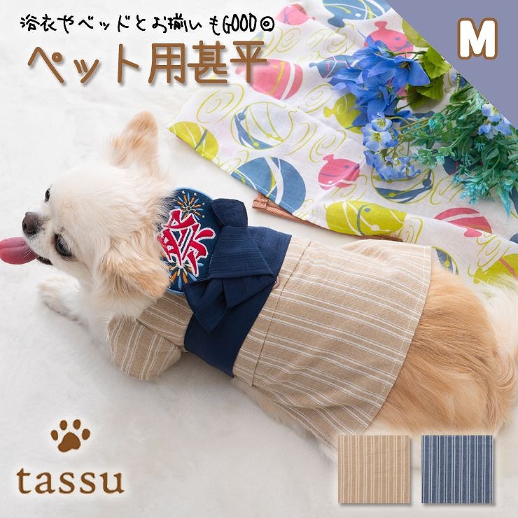 ybgpr MTCY tassu ^bX  L   XgCv  hbOEFA ybgEFA WxG rq WxC 䂩 t  169-6243