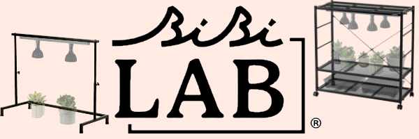 ドンドンマーケット ビザール商品