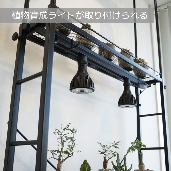 ビビラボ（BIBILAB） ビザールプランツラックスリム LPR-180-BK 植物