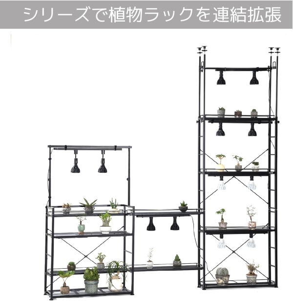 ビビラボ（BIBILAB） ビザールプランツラックスリム LPR-180-BK 植物