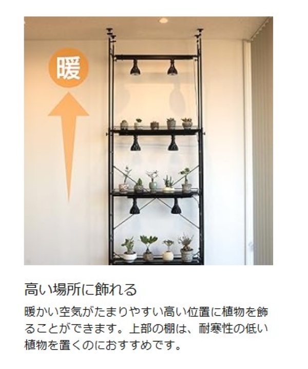 ビビラボ（BIBILAB） 【セール実施中！ 22％OFF】 ビザールプランツ