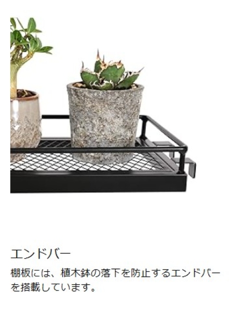 ビビラボ（BIBILAB） ビザールプランツラックスリム LPR-180-BK 植物